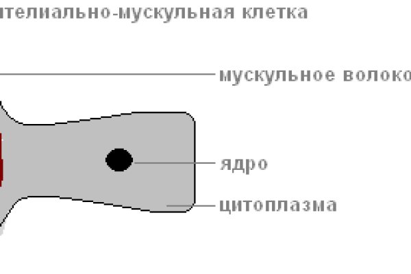 Кракен это современный даркнет маркет плейс